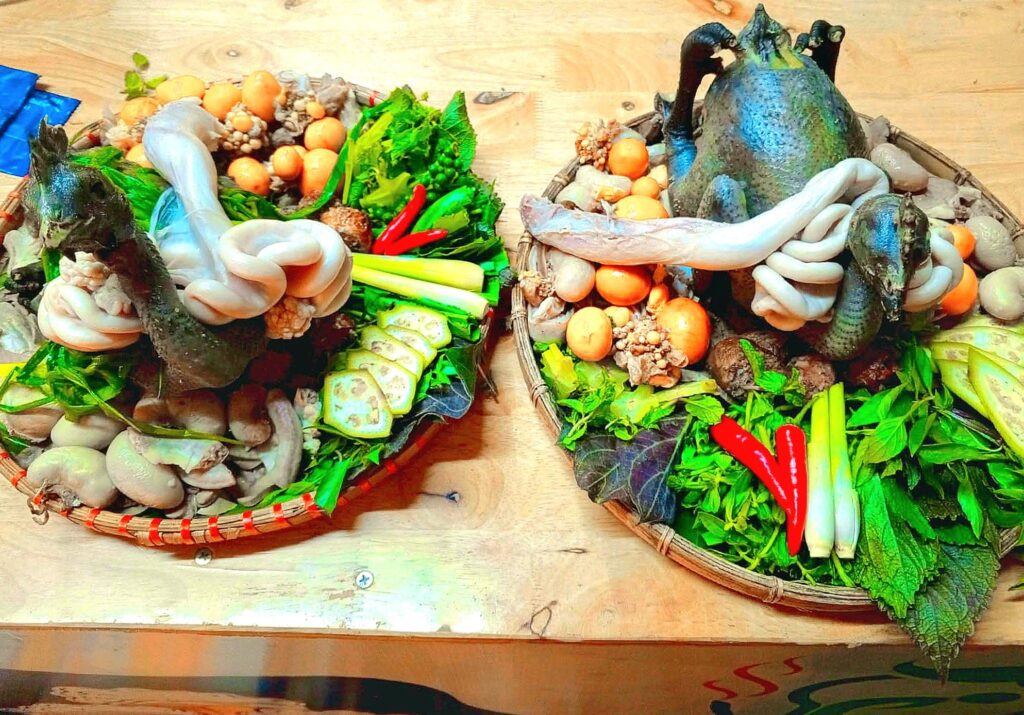 584814593 1485120373618809 254266803578400490 n